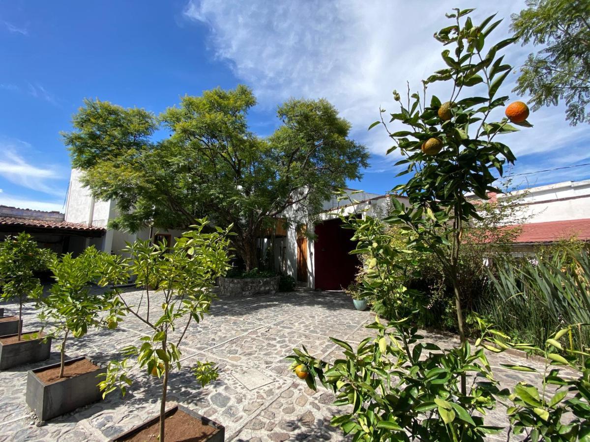 Posada Colibri - Hotel & Spa Сан-Хуан-Теотиуакан Экстерьер фото